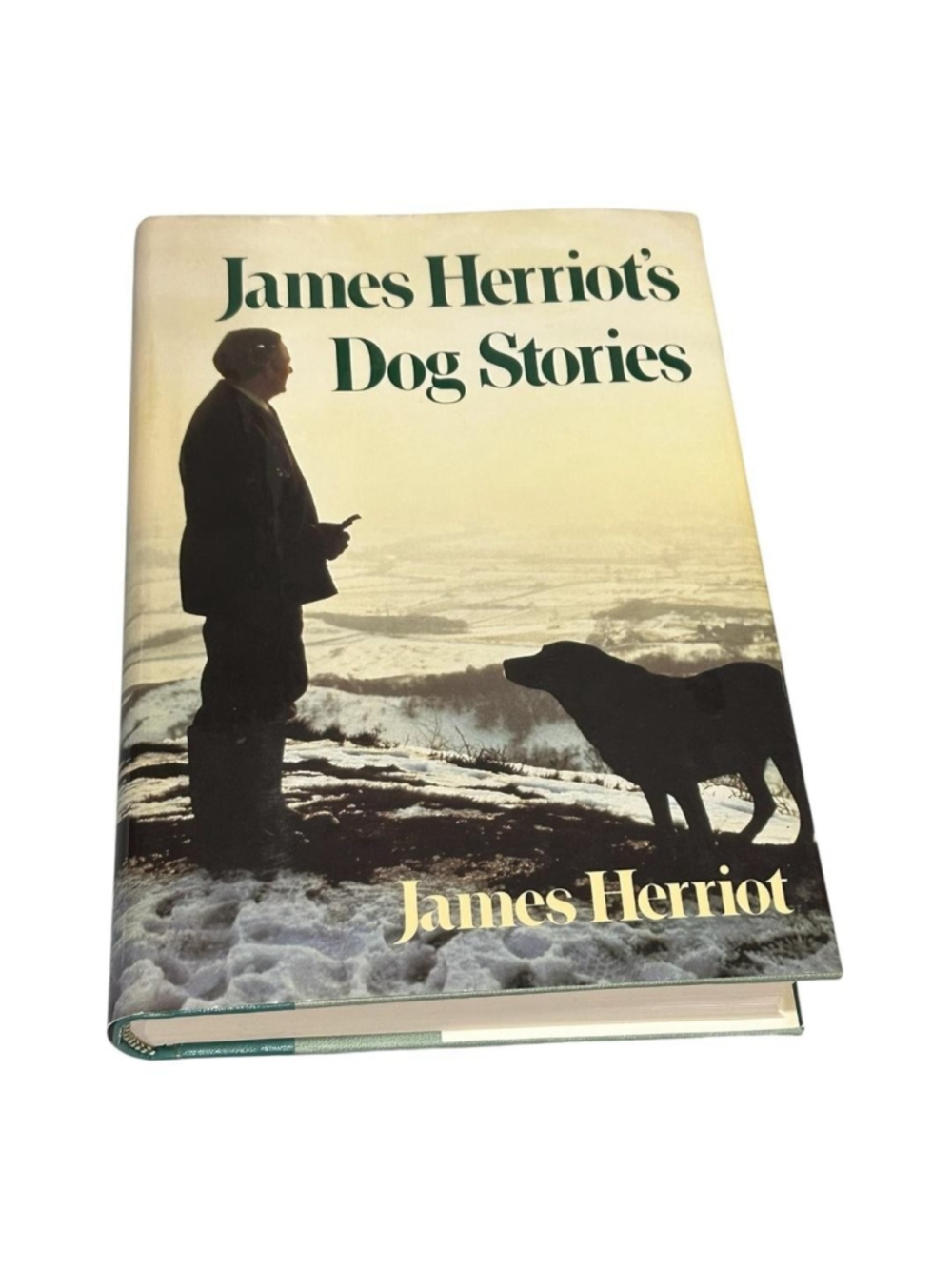 Vintage James Herriot's Dog Stories James Herriot HC 1986 Green DJ St Martins